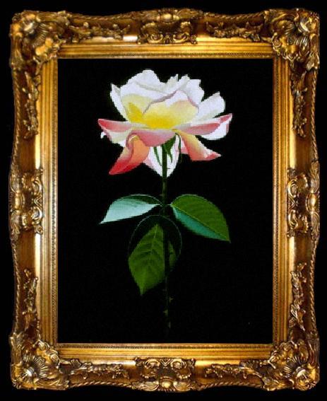 framed  unknow artist Still life floral, all kinds of reality flowers oil painting 46, ta009-2